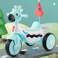 Tricicleta Ren Electrica Reincarcabila, pentru Copii, cu Muzica si Led-uri